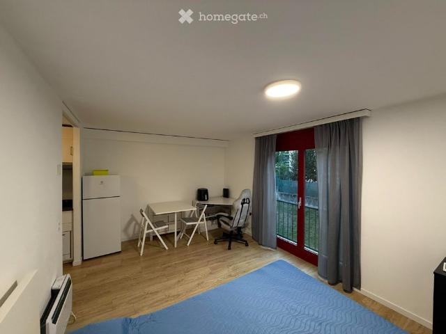 Apartment mieten in Mezzovico, Tessin