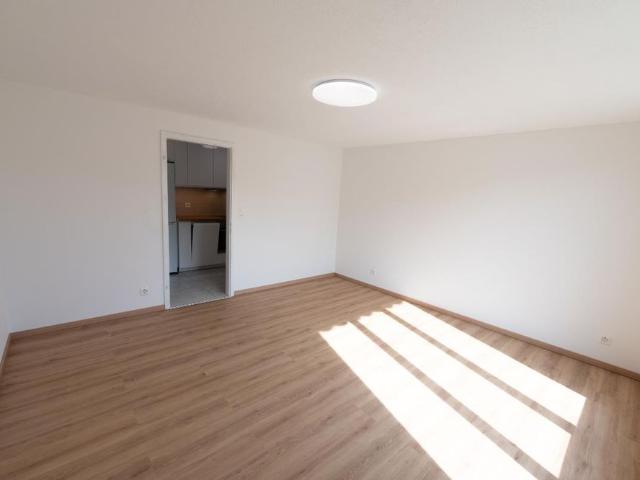 Apartment mieten in Dielsdorf, Bezirk Dielsdorf