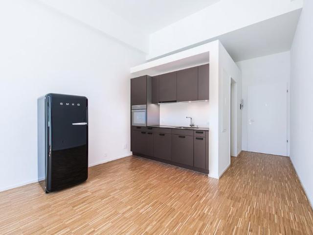 Apartment mieten in Theilingen, Weisslingen
