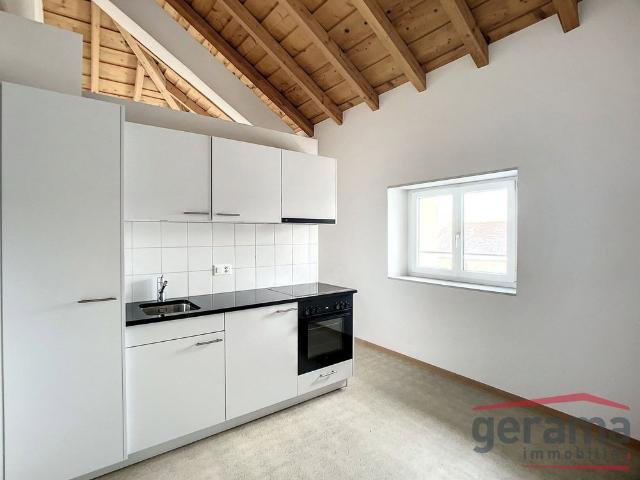 Apartment mieten in Villars, Freiburg