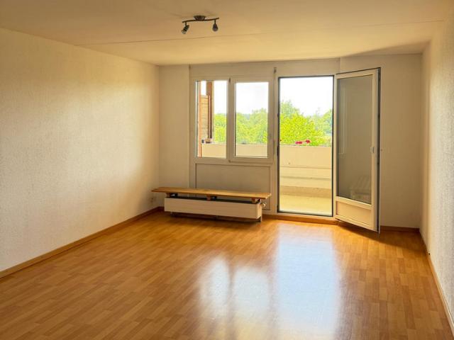 Apartment mieten in Müllheim Dorf, Thurgau