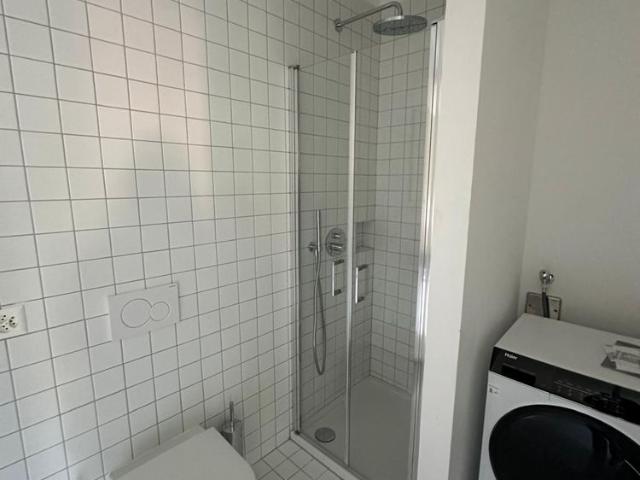 Apartment mieten in Paradiso, Tessin