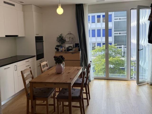 Apartment mieten in Wipkingen, Zürich