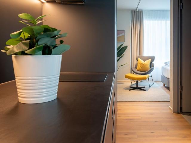Apartment mieten in Oberwil bei Zug, Zug