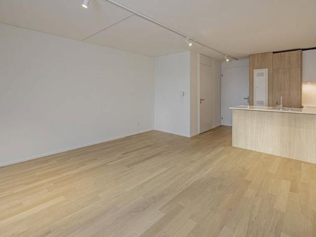 Apartment mieten in Schlieren, Zürich