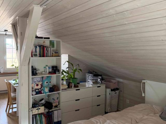 Apartment mieten in Schwarzenbach (SG), St. Gallen