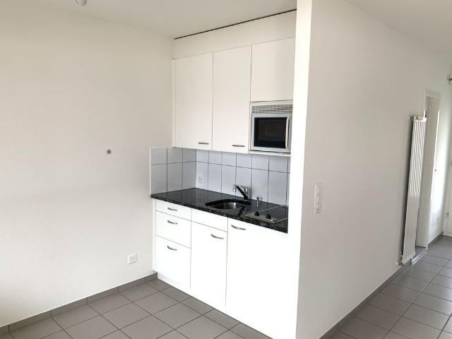Apartment mieten in Solothurn