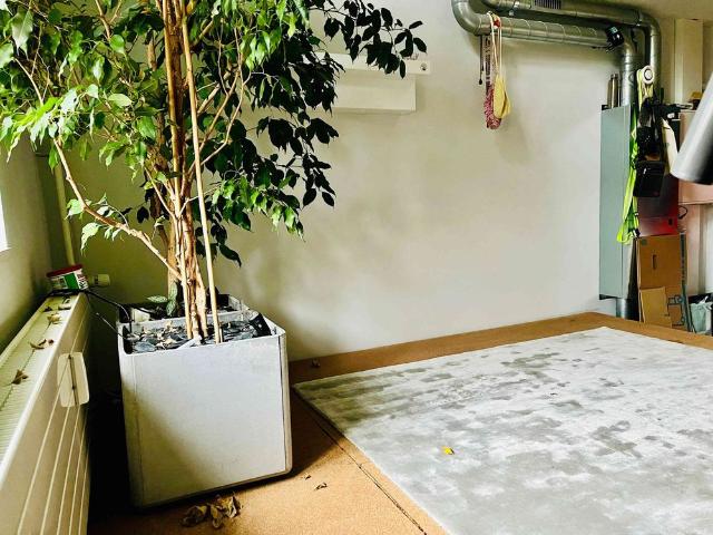 Studio mieten in Brugg (AG), Aargau