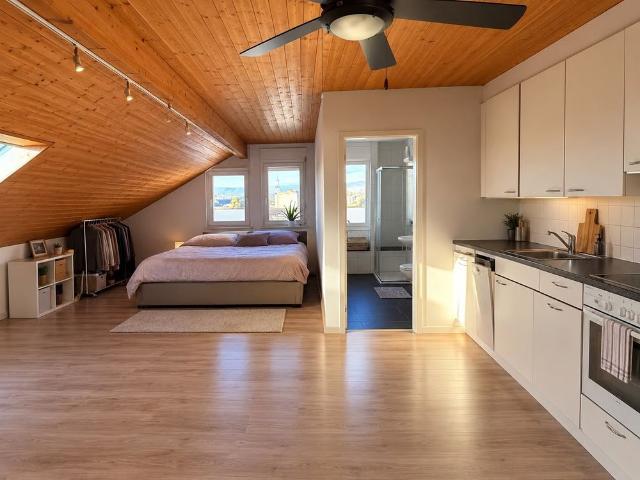 Apartment mieten in Inwil, Baar
