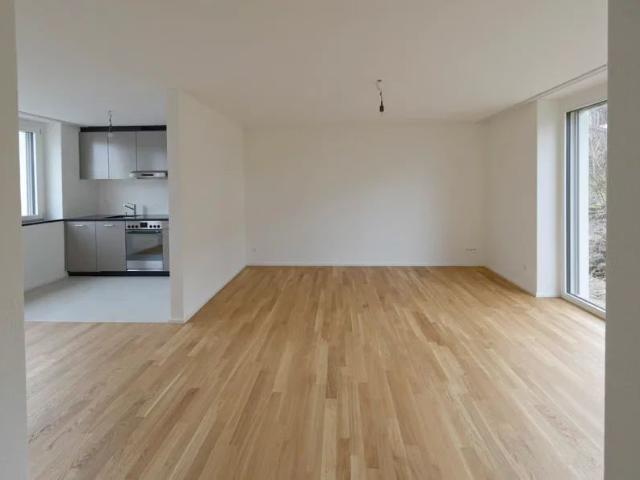 Apartment mieten in Adliswil, Zürich