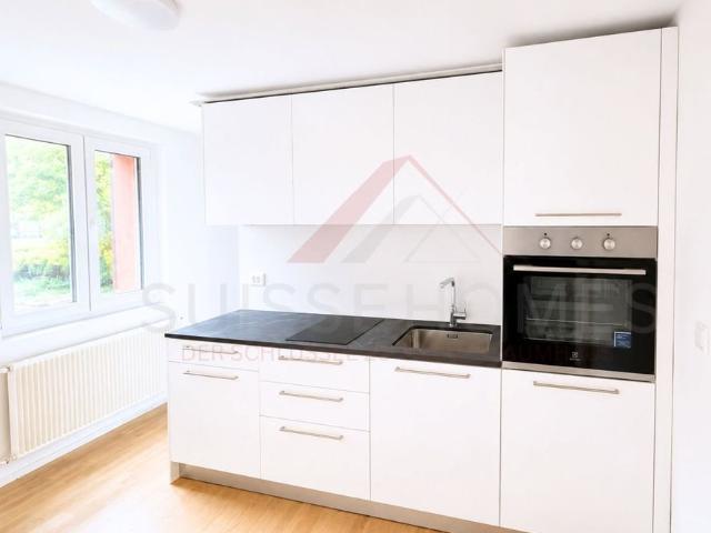 Studio mieten in Flumenthal, Amtei Solothurn-Lebern