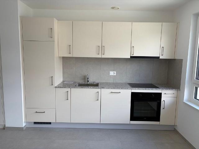 Apartment mieten in Les Mayens-de-Sion, Wallis