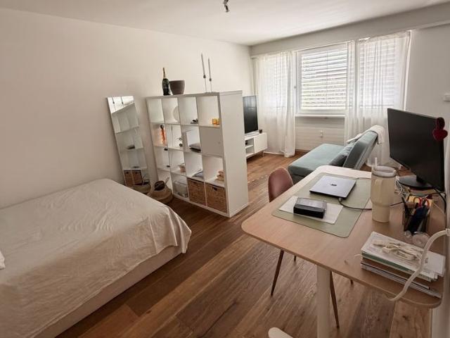 Apartment mieten in Birsfelden, Bezirk Arlesheim