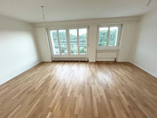 Apartment mieten in Schaffhausen