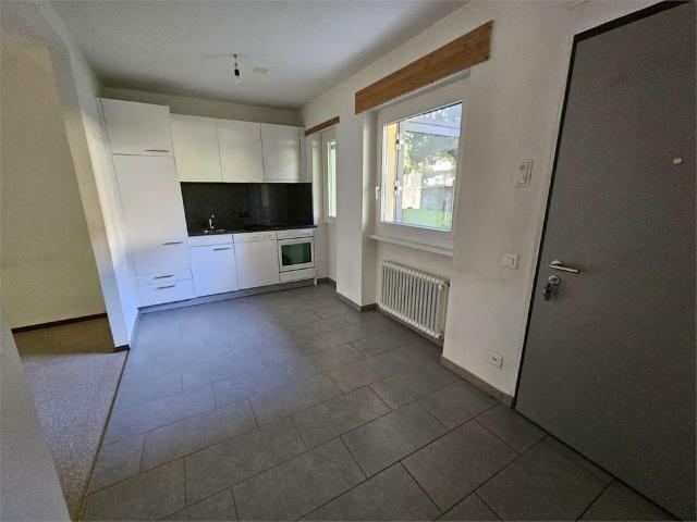 Apartment mieten in Paradiso, Tessin