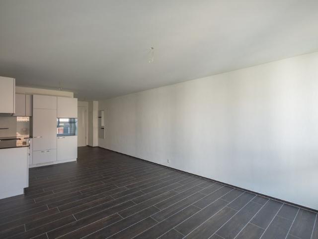 Apartment mieten in Einigen, Zürich