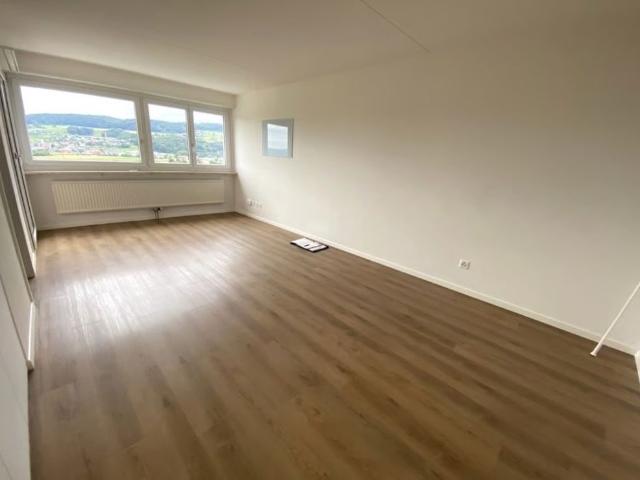 Haus mieten in Baden, Aargau