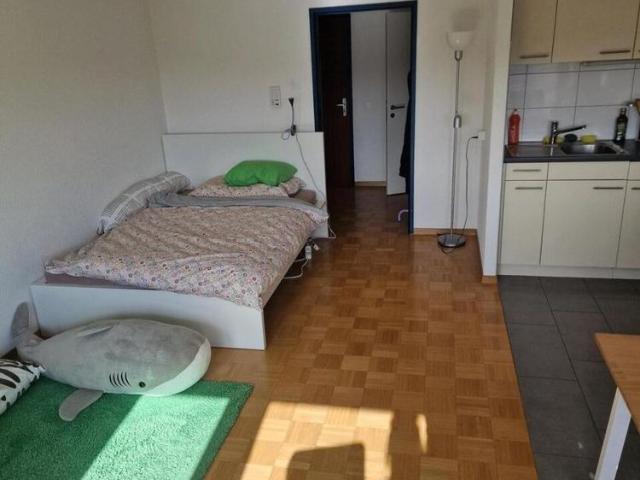 Apartment mieten in Villars, Freiburg