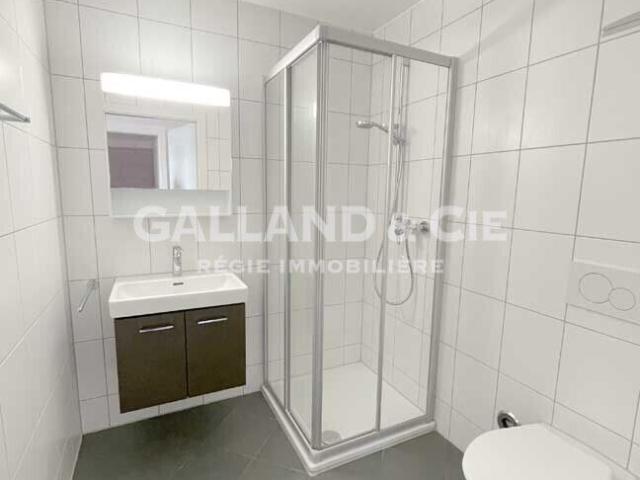 Apartment mieten in Gilly, Waadt