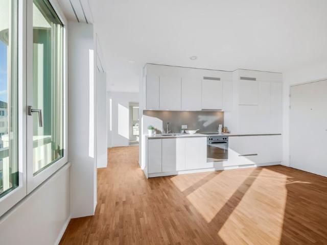 Apartment mieten in Langstrasse, Zürich