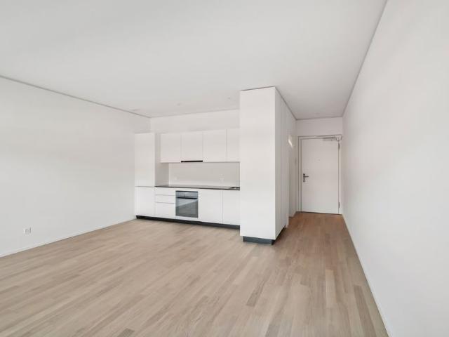 Apartment mieten in Aldesago, Tessin