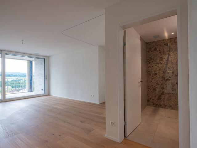 Apartment mieten in Oberlunkhofen, Aargau