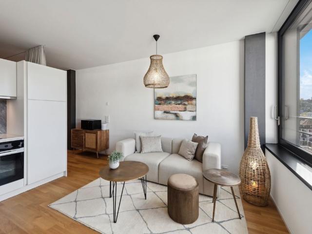 Apartment mieten in Baden, Aargau