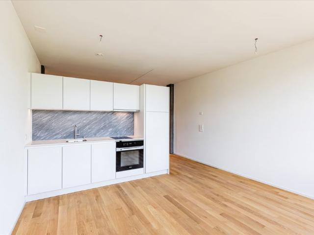 Apartment mieten in Baden, Aargau