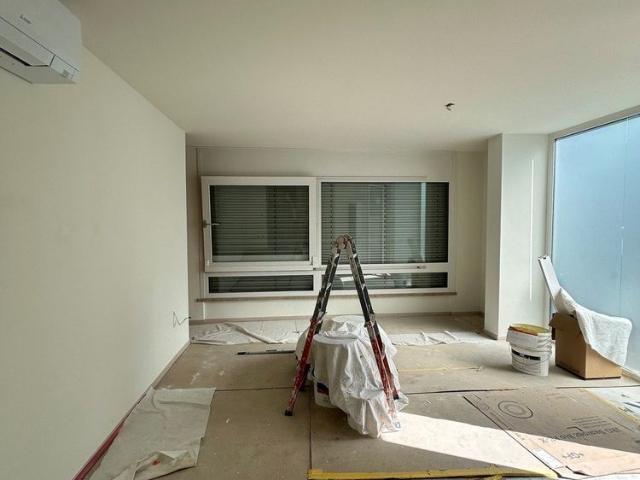 Haus mieten in Minusio, Tessin
