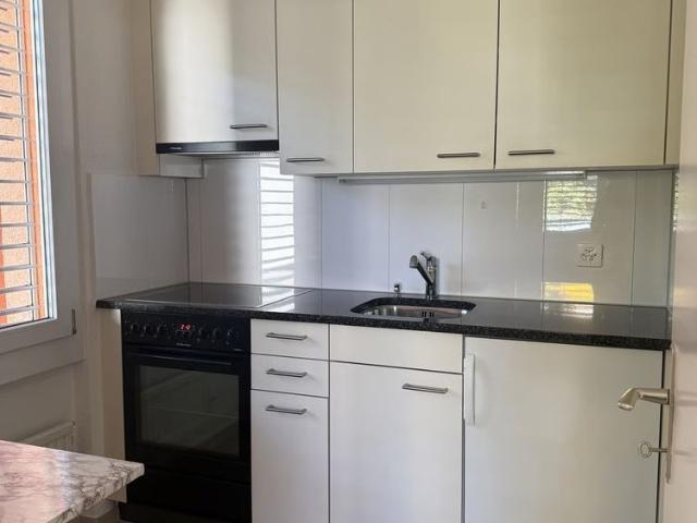 Apartment mieten in Feuerthalen, Zürich