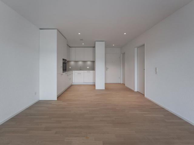 Apartment mieten in Kaiseraugst, Aargau
