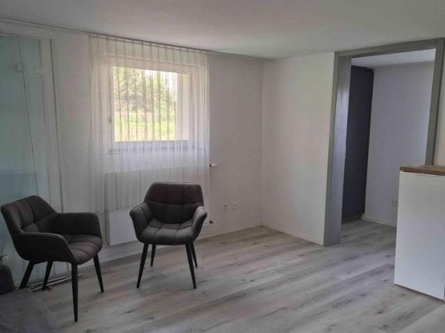 Apartment mieten in Birr, Aargau