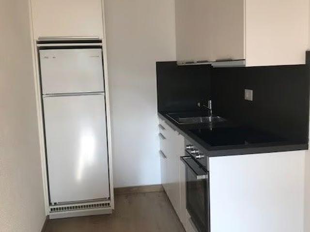 Apartment mieten in Paradiso, Tessin
