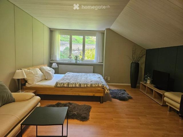 Apartment mieten in Göschenen, Uri