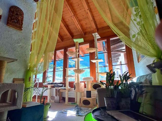 Apartment mieten in Rovio, Tessin