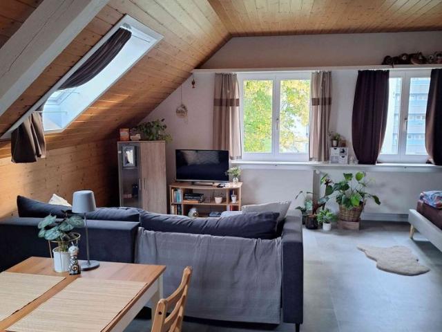 Apartment mieten in Wacht, Rüti (ZH)