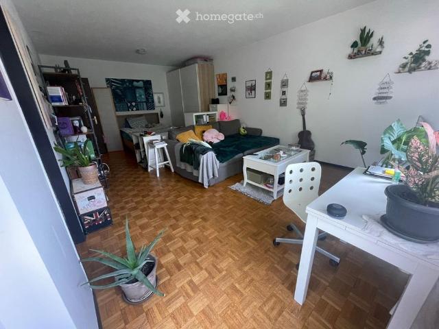 Apartment mieten in Bellinzona, Tessin