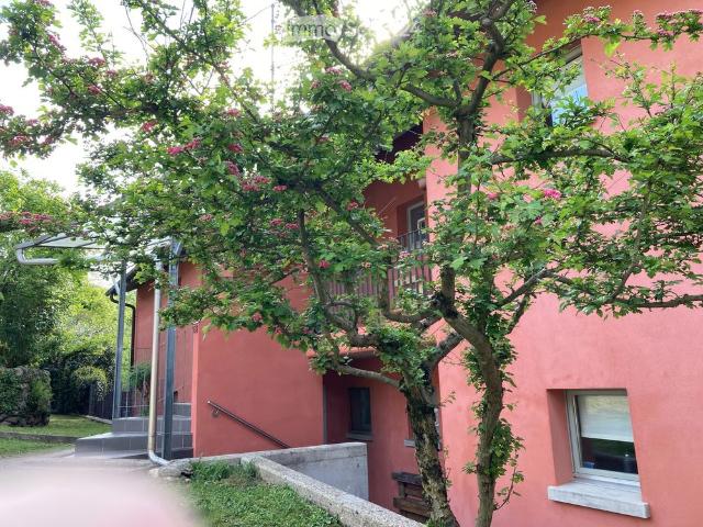 Apartment mieten in Curio, Tessin