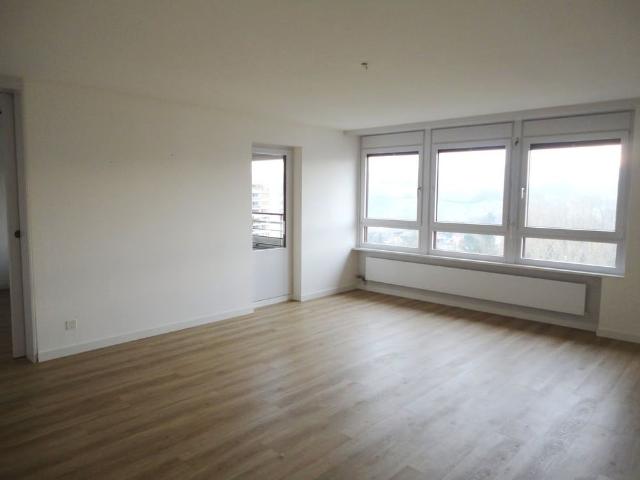 Apartment mieten in Kaiseraugst, Aargau