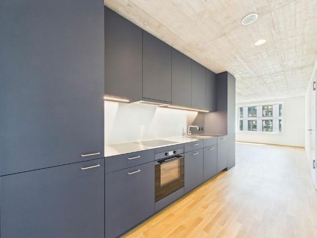 Apartment mieten in Basel, Basel-Stadt