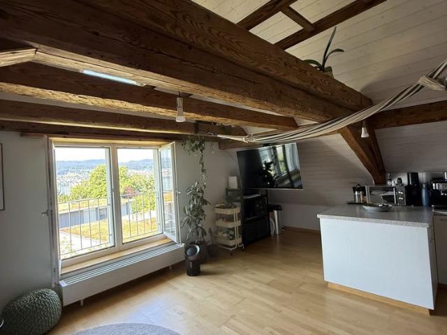 Apartment mieten in Meilen, Zürich