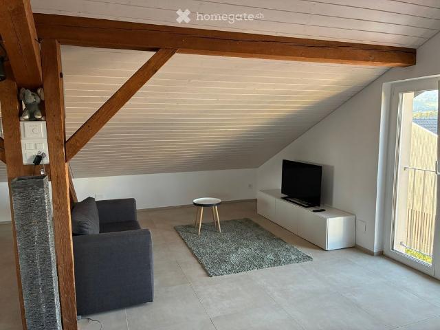 Apartment mieten in Horn, Bezirk Arbon