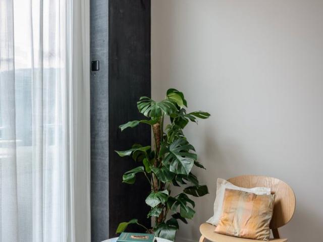 Studio mieten in Einigen, Zürich