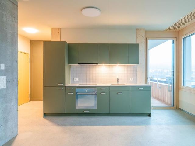 Apartment mieten in Olten, Amtei Olten-Gösgen