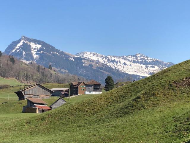 Wohnung mieten in Krummenau