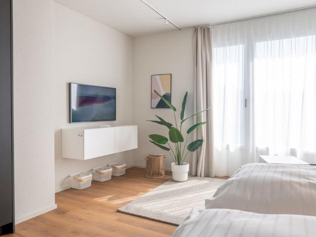 Apartment mieten in V-ZUG AG, Zug