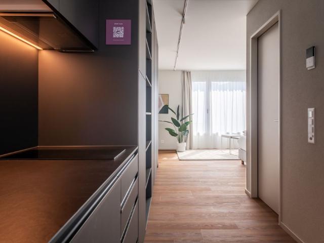Apartment mieten in Oberwil bei Zug, Zug