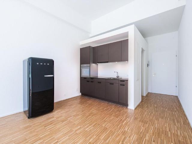 Apartment mieten in Theilingen, Weisslingen
