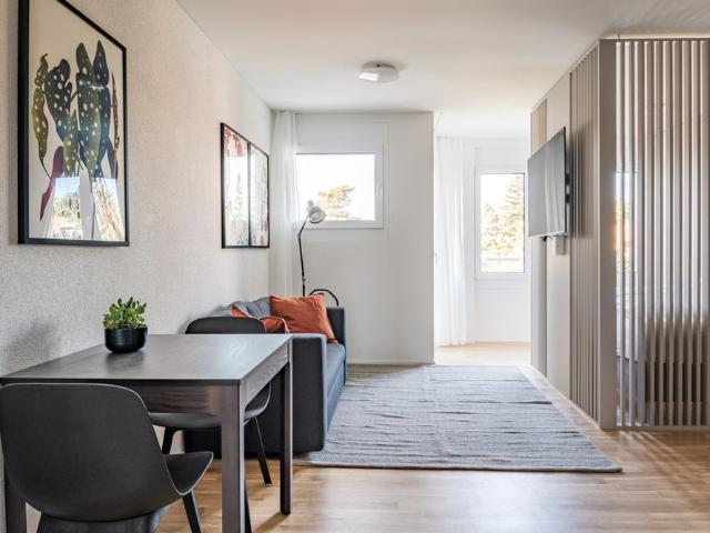 Apartment mieten in Grossbasel, Basel