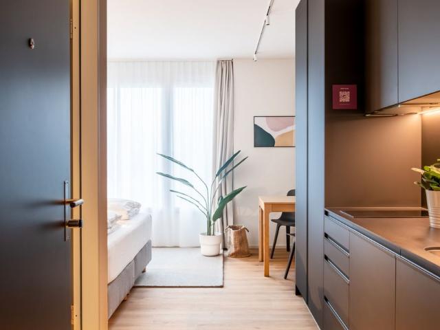 Apartment mieten in V-ZUG AG, Zug